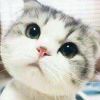 AUjuOTdvzGCkjh