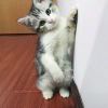 GYsQhAEXvJ